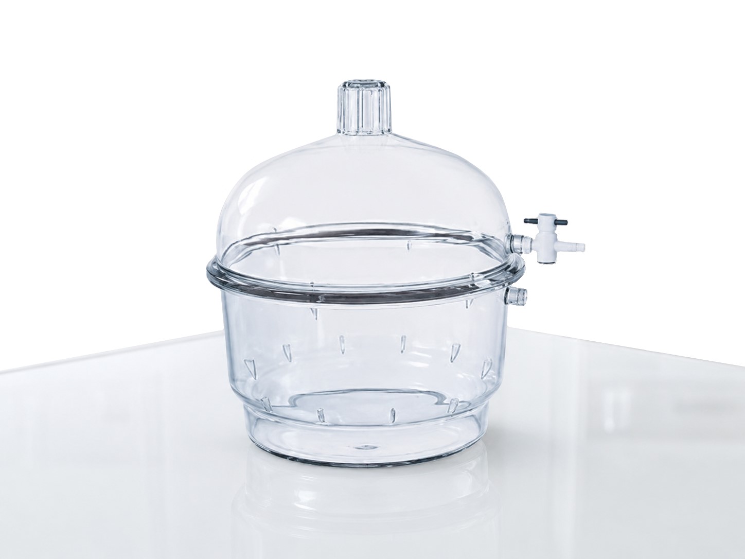 DESSICCATEUR ( CLOCHE A VIDE )